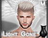 [CS] Light Gone