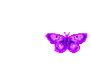 Sm Purple Butterfly