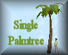 [my]Palmtree Single