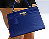 Kelly Handbag Blue 💙