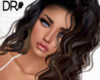 DR- Dottie exotic