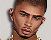 Suspect + Criminal Avi M