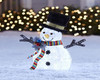 Snowman With Lights