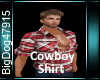 [BD]CowboyShirt