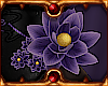 RP Ayane Flowers L