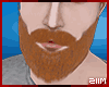 Vic | Ginger Beard x MH