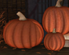 Pumpkins