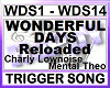 WONDERFUL DAYS  reloaded