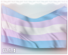 [LL] Trans Pride Flag