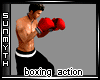 Boxing Action