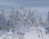Winter Tree w/Pose