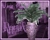 Royal Purple Plant Vase