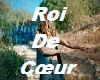 Z. Roi De CSur - Rd