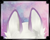 {Ms} W/P Ears Kistu ♥