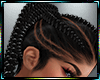Silver/Black  Braids