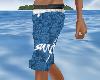 SURF Shorts 3