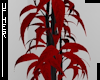UTH Red Plant