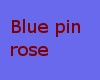 Blue pin rose