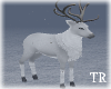 ~T~ Snow Deer