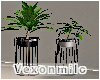 Plants