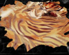 Tigra rug