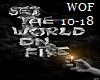 Flinch - World On Fire 2