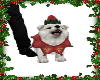 (SS)christmas dog