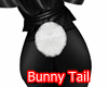 *A Bunny Tail