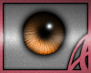 [A] Elisa Eyes ~Autumn