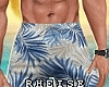 Summer Beach Shorts