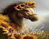 bp Sunflower HorseFrame2