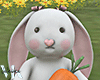 VK.Easter Bunny ll