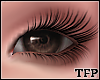 [TFP] Brown Eyes
