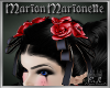 Marion Roses & Ribbons