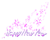 Happy New Year pink