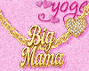 Ỿ | big mama