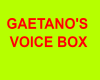 GAETANO'S VOICE BOX 