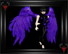 -N- Purple Void Wings