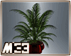 [m33] Nice Love Plants