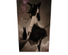Classic Witch
