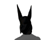 vv.