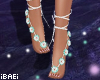 iB | Fairy Feet