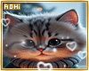 Kitty Love Cutout