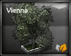 (ED1)Vienna trees-4