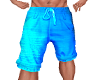 Beach Shorts Long