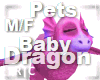 R|C Baby Dragon Pink MF