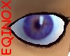 Eqinox Purple Eyes (m)