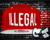 [CJ]illegal Snap-3