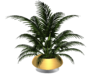 Gold Potted Plant