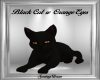 Black Cat w Orange Eyes